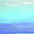 Aquatic Abstract